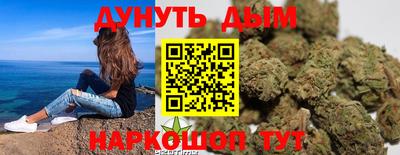 гидра Кингисепп