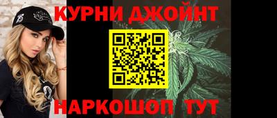 гидра Кингисепп