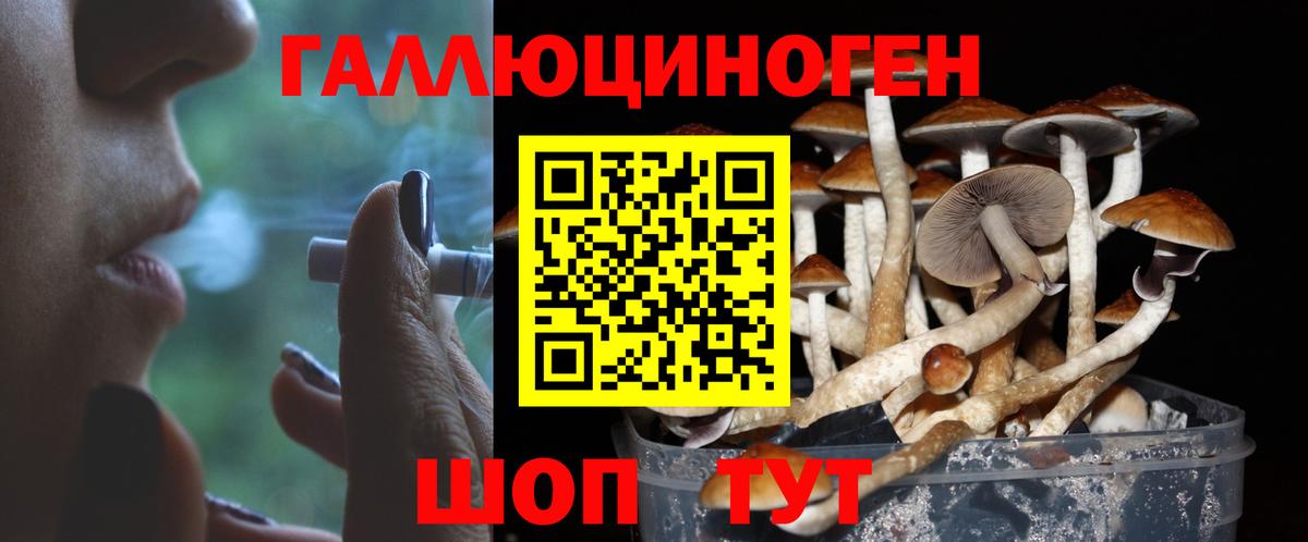 наркотики  Вход с VPN  Дмитров  Галлюциногенные грибы Psilocybine cubensis 